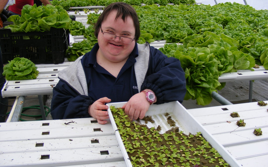 Cape Abilities Farm Tour: Changing Lives