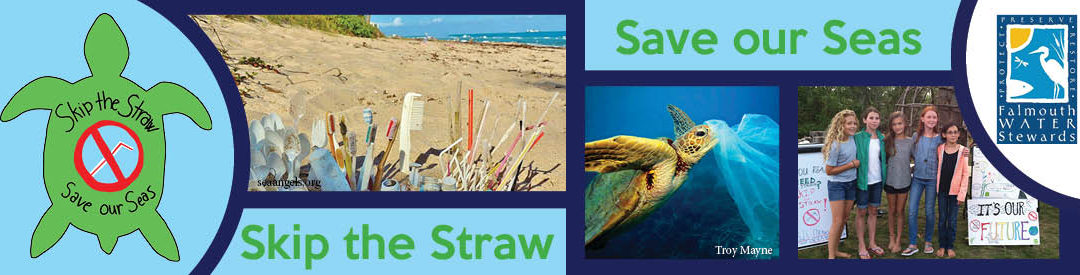 Skip the Straw Training Video