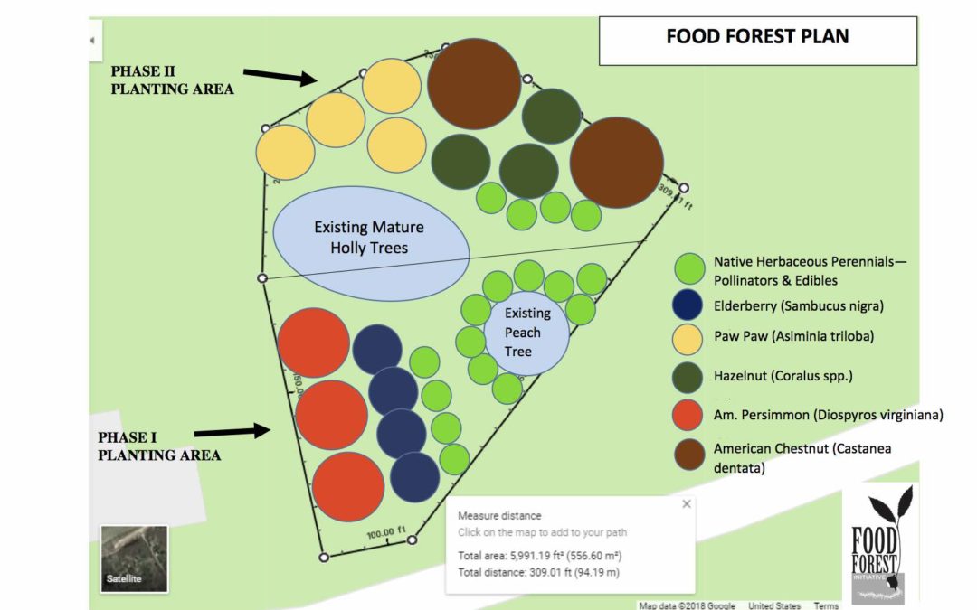 Interpretive Food Forest Exhibit
