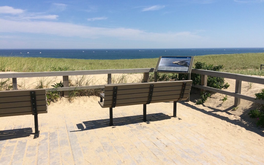 Cape Cod Whale Trail – Interpretive Signage