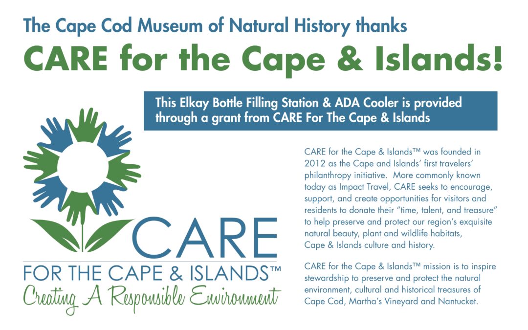 Water Bottle Filling Station – Cape Cod Museum of Natural History